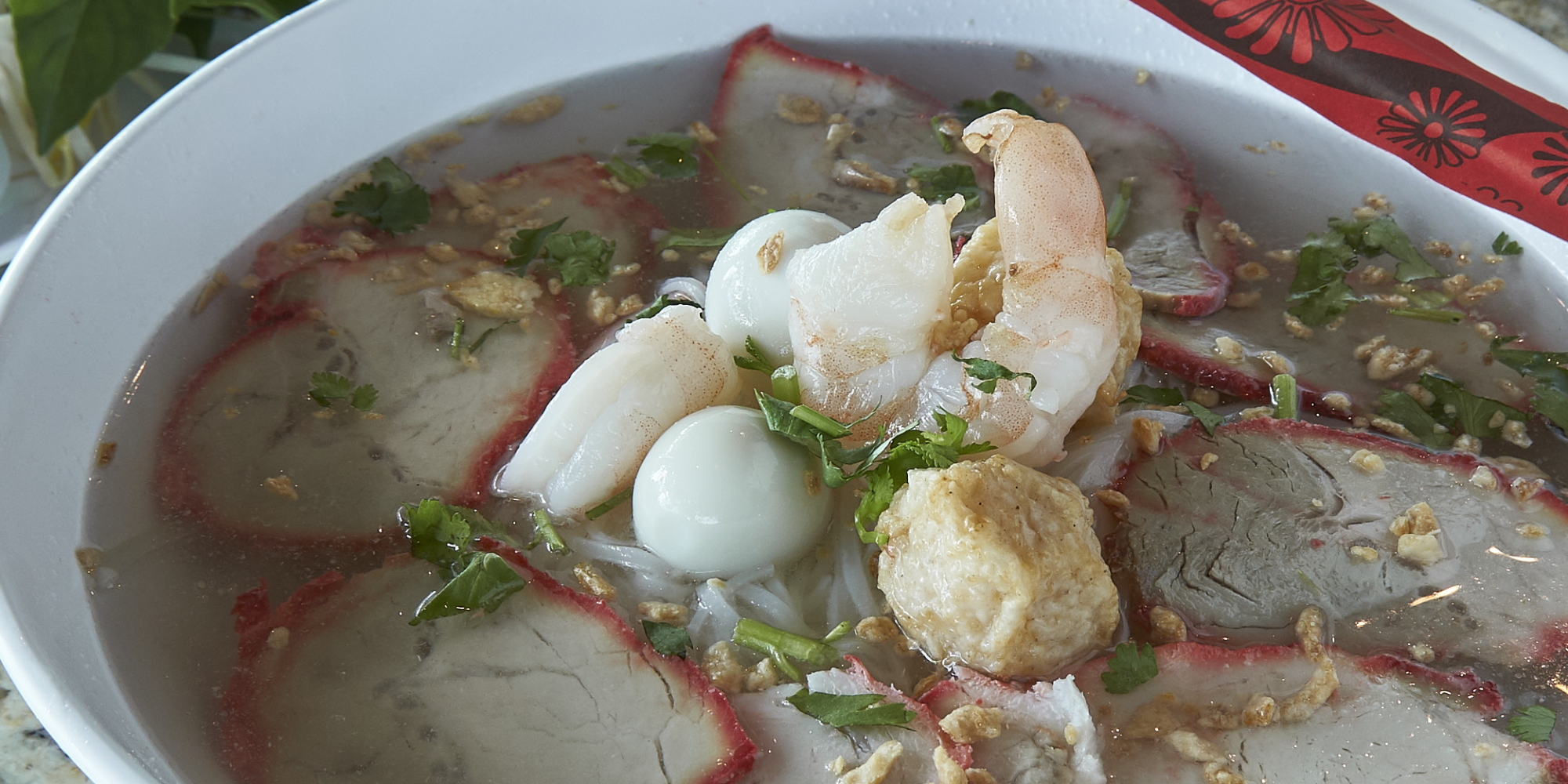 HealthyPho_DeluxeNoodleSoup