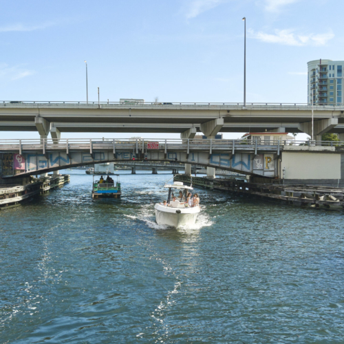 HillsboroughRiverTampa_ 7